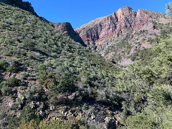 view