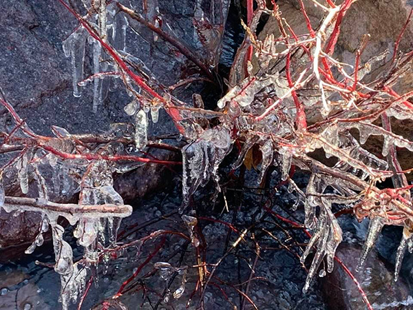 ice