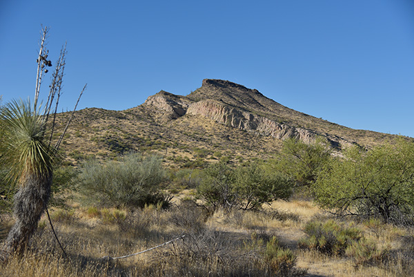 view