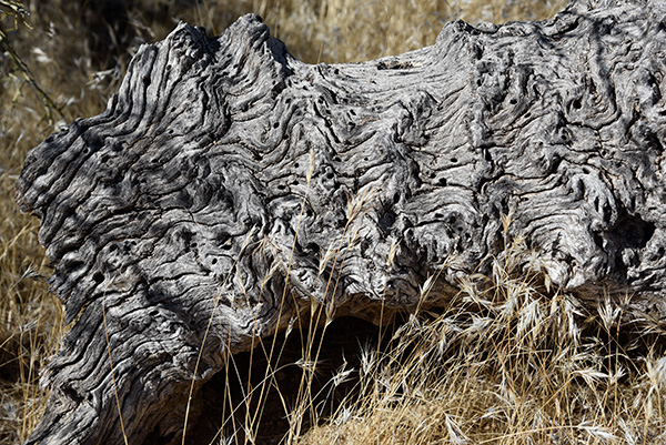 log