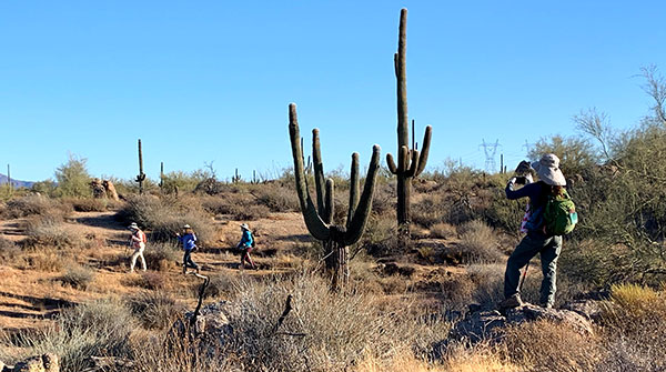 hikers