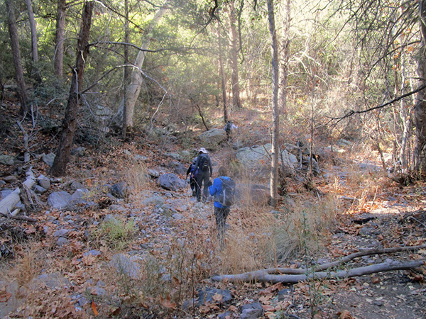 hikers