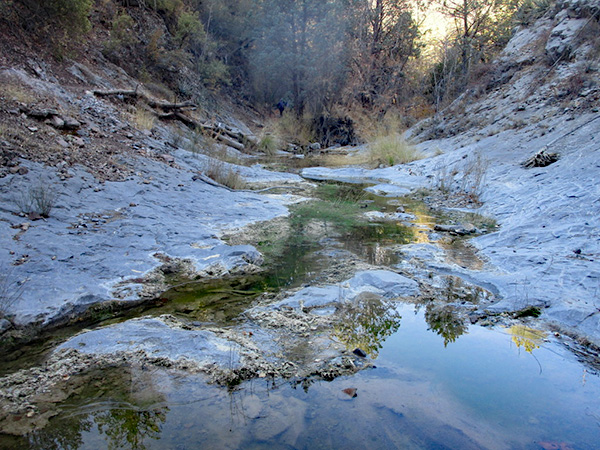 stream