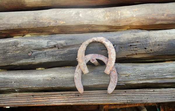 logs