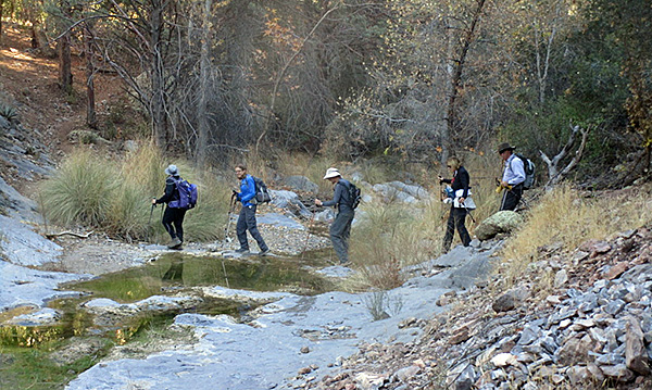 hikers