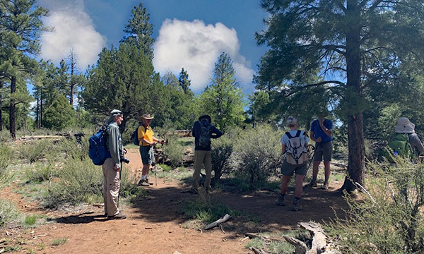 hikers