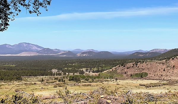 view