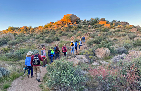 hikers