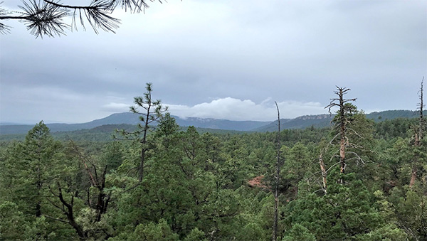view