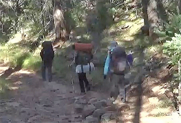 hikers