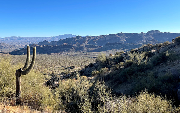 view