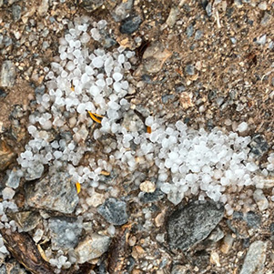 hail