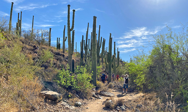 hikers