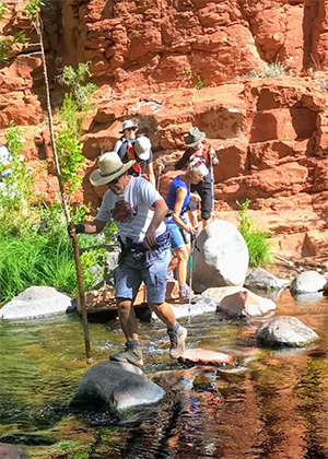 hikers