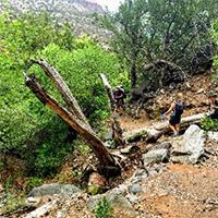 hikers