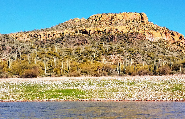view