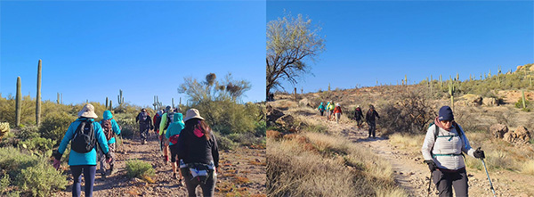 hikers