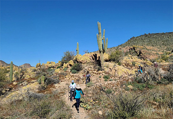 hikers