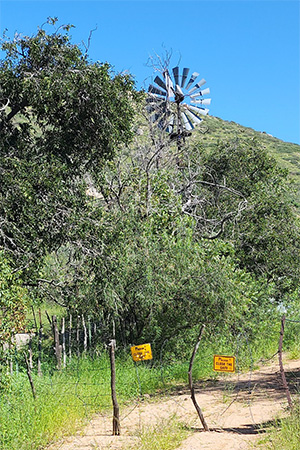 windmill