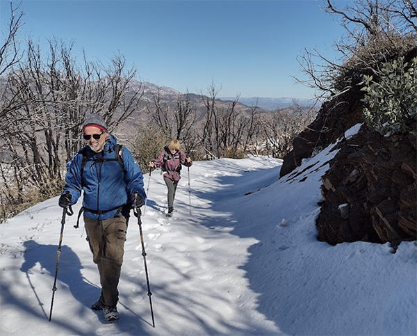 hikers