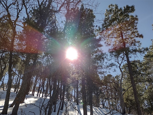 sun