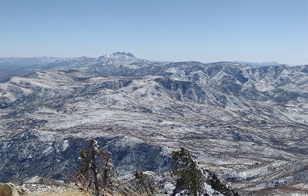 view