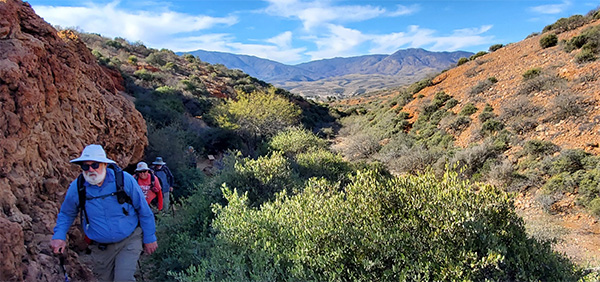 hikers