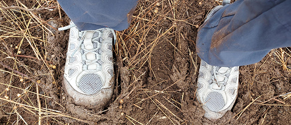 mud