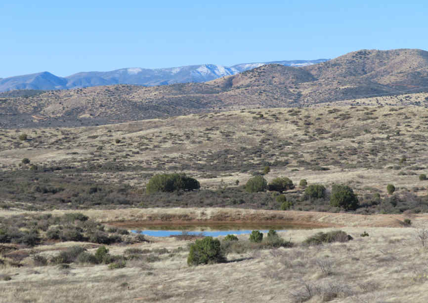 WateringHole