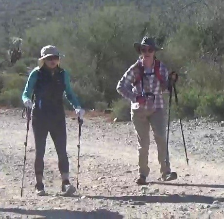 Stepping