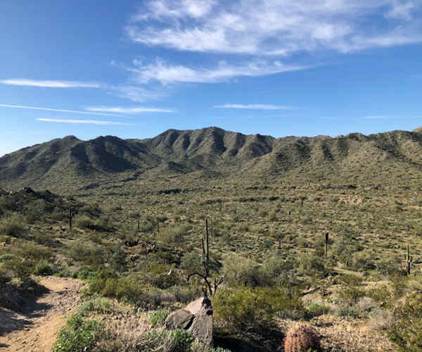 05Trail.jpg