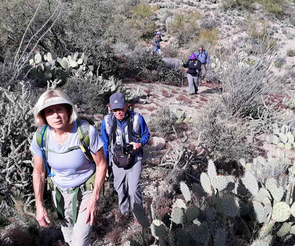 Hikers
