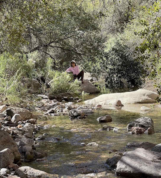 Stream