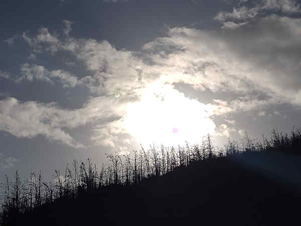 Cloud
