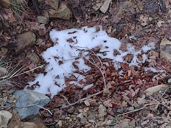 Snow