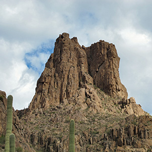 needle