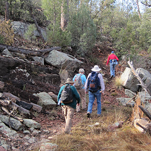 hikers