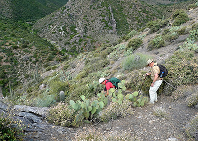 descent