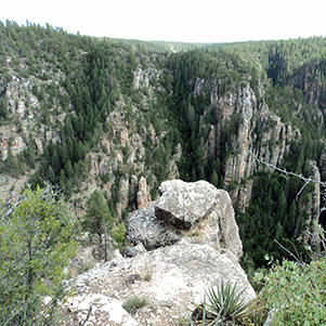 DSC00118