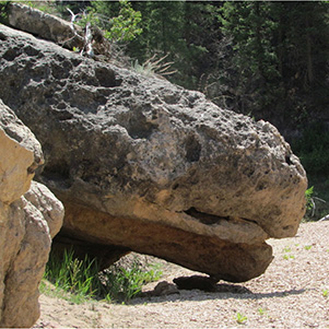 RC24_CB_TURLE_ROCK