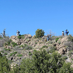 hikers