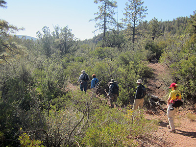 hikers