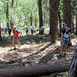 hikers