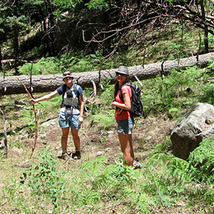 hikers