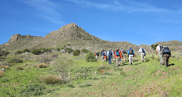 hikers