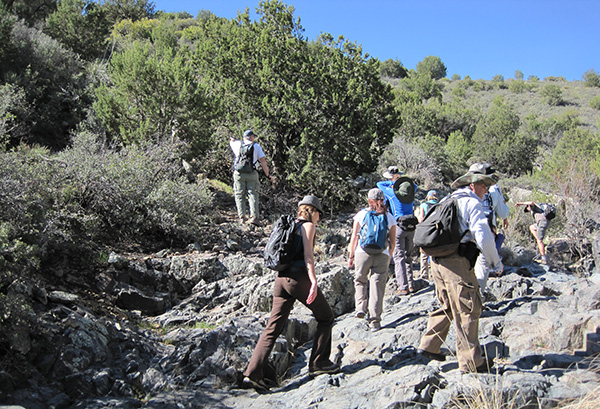 hikers