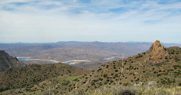 view