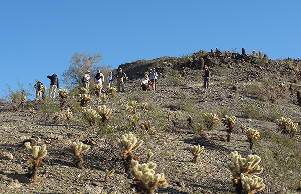 hikers