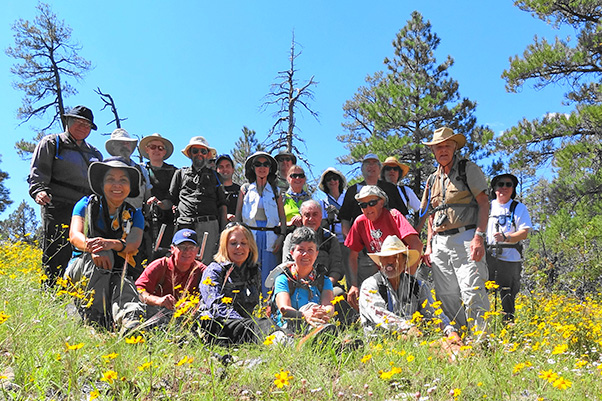 group