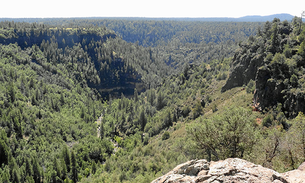 view